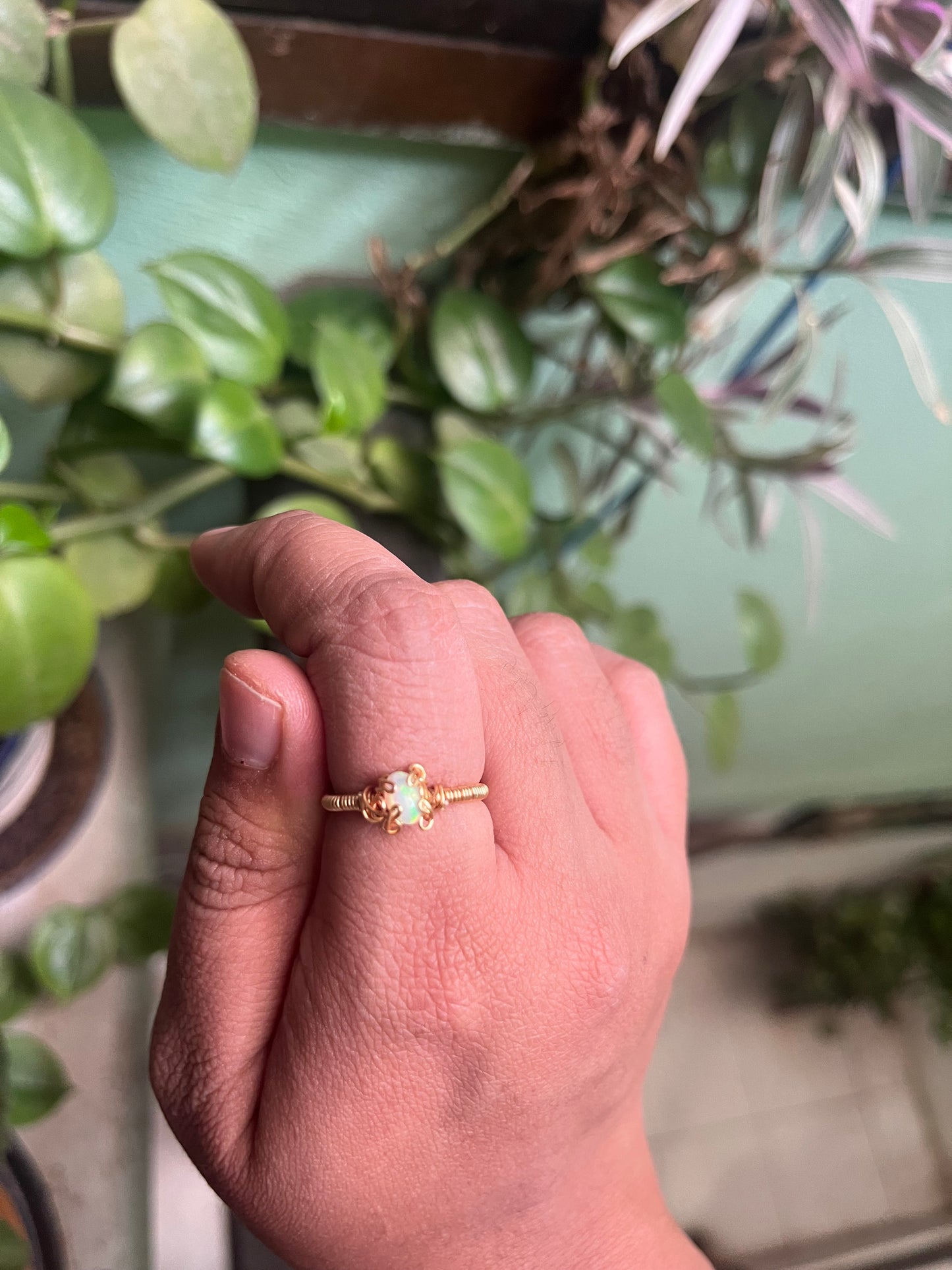 Anillos Proserpina minis