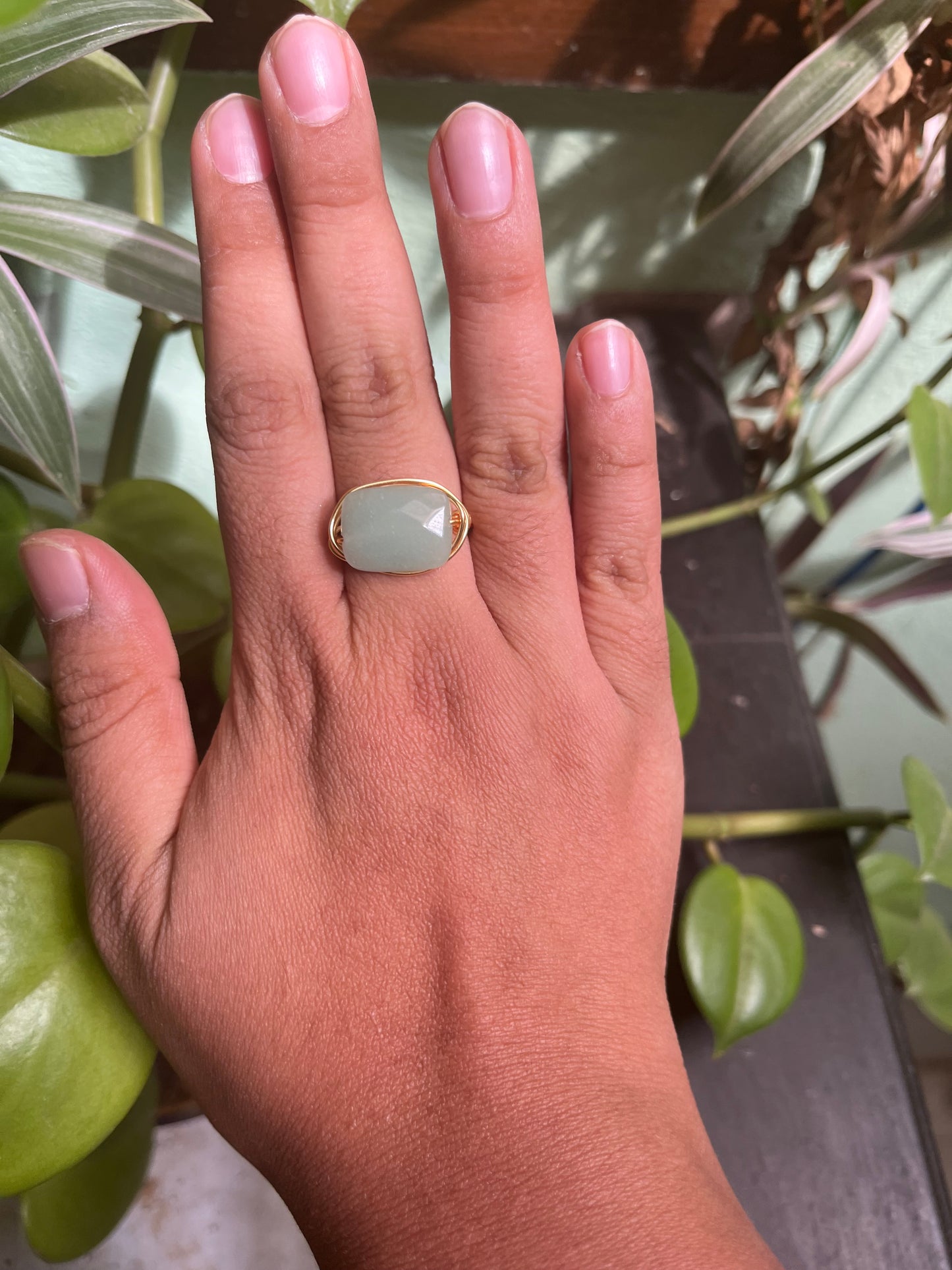 Anillo Asteria