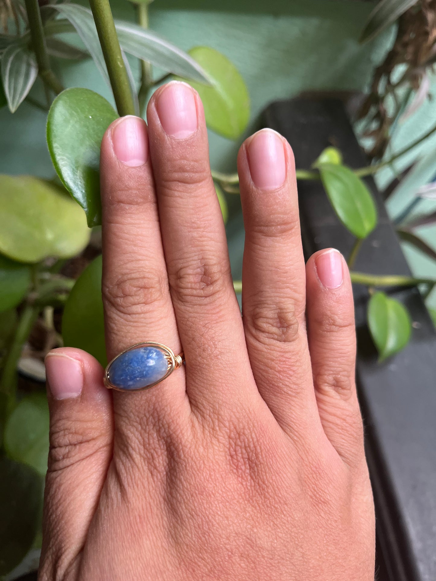 Anillos Alseides