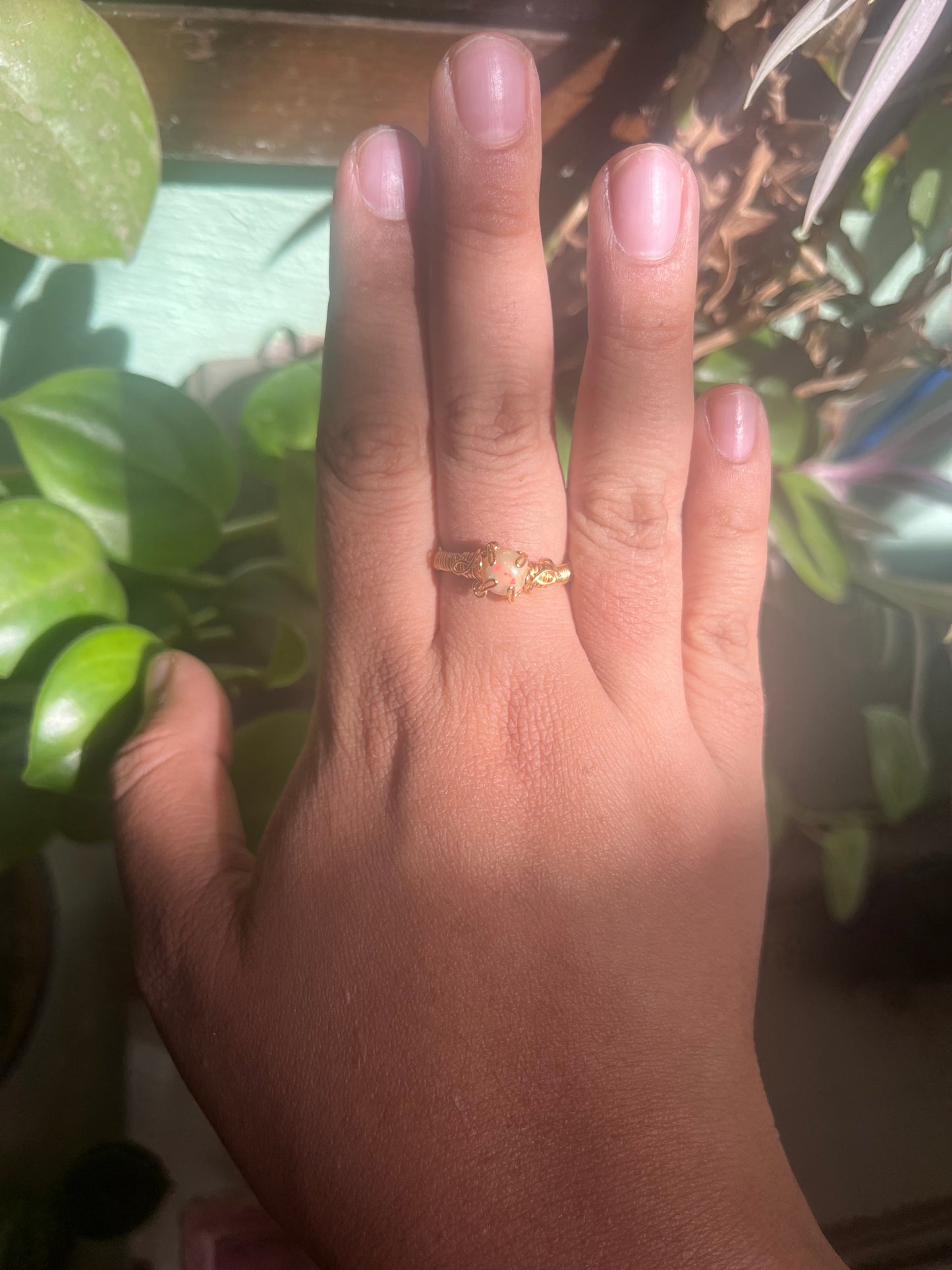 Anillos proserpina chicos