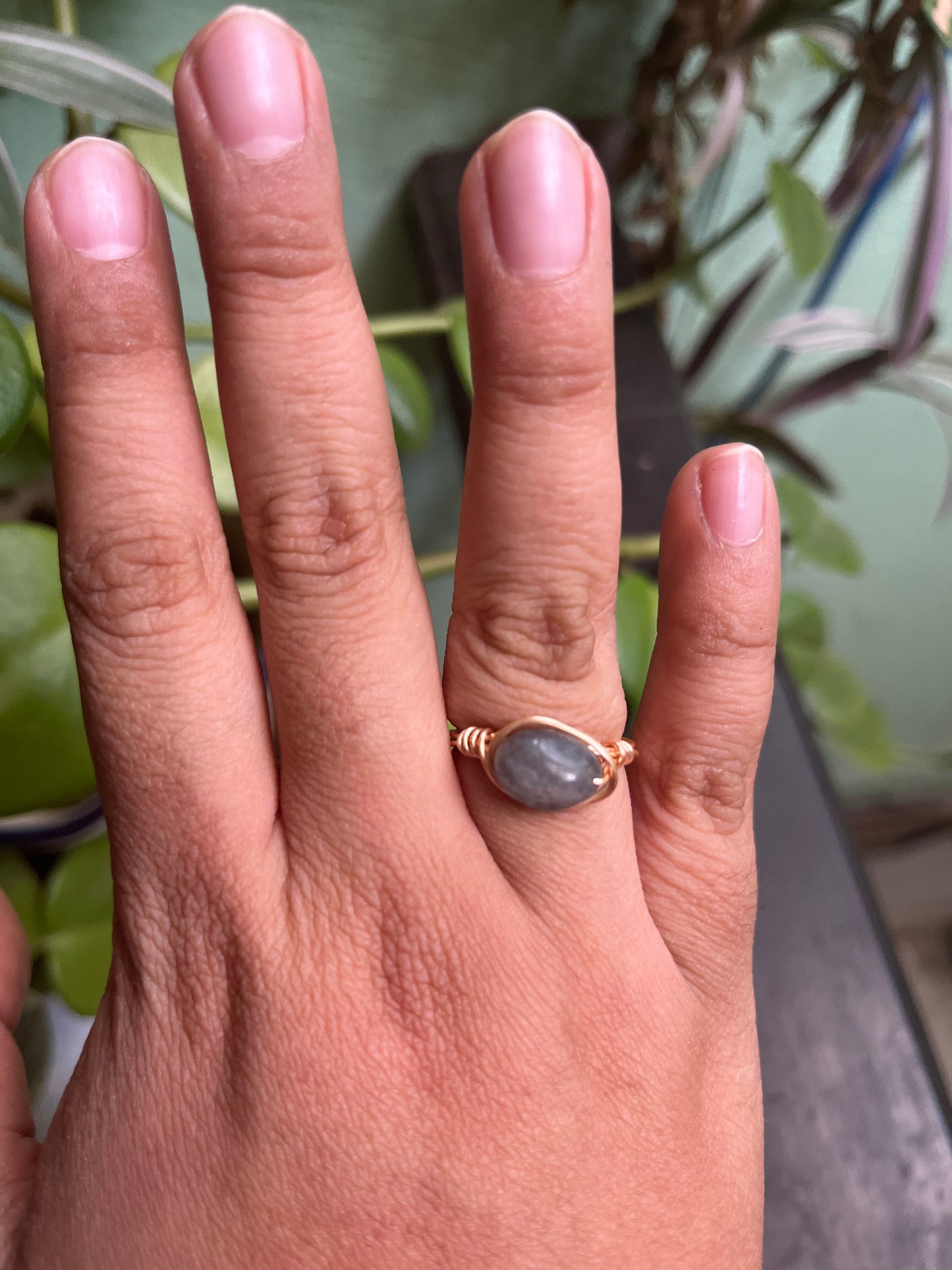 Anillos Alseides