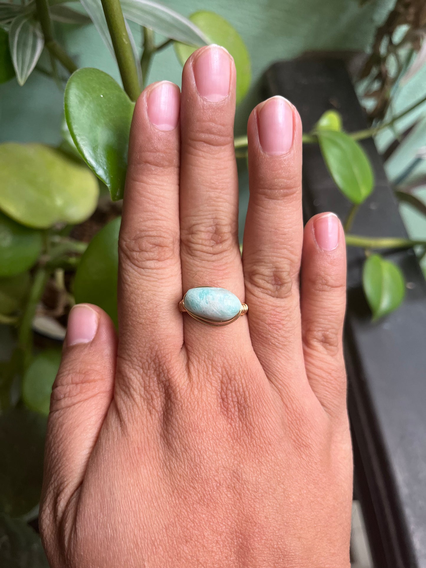 Anillos Alseides