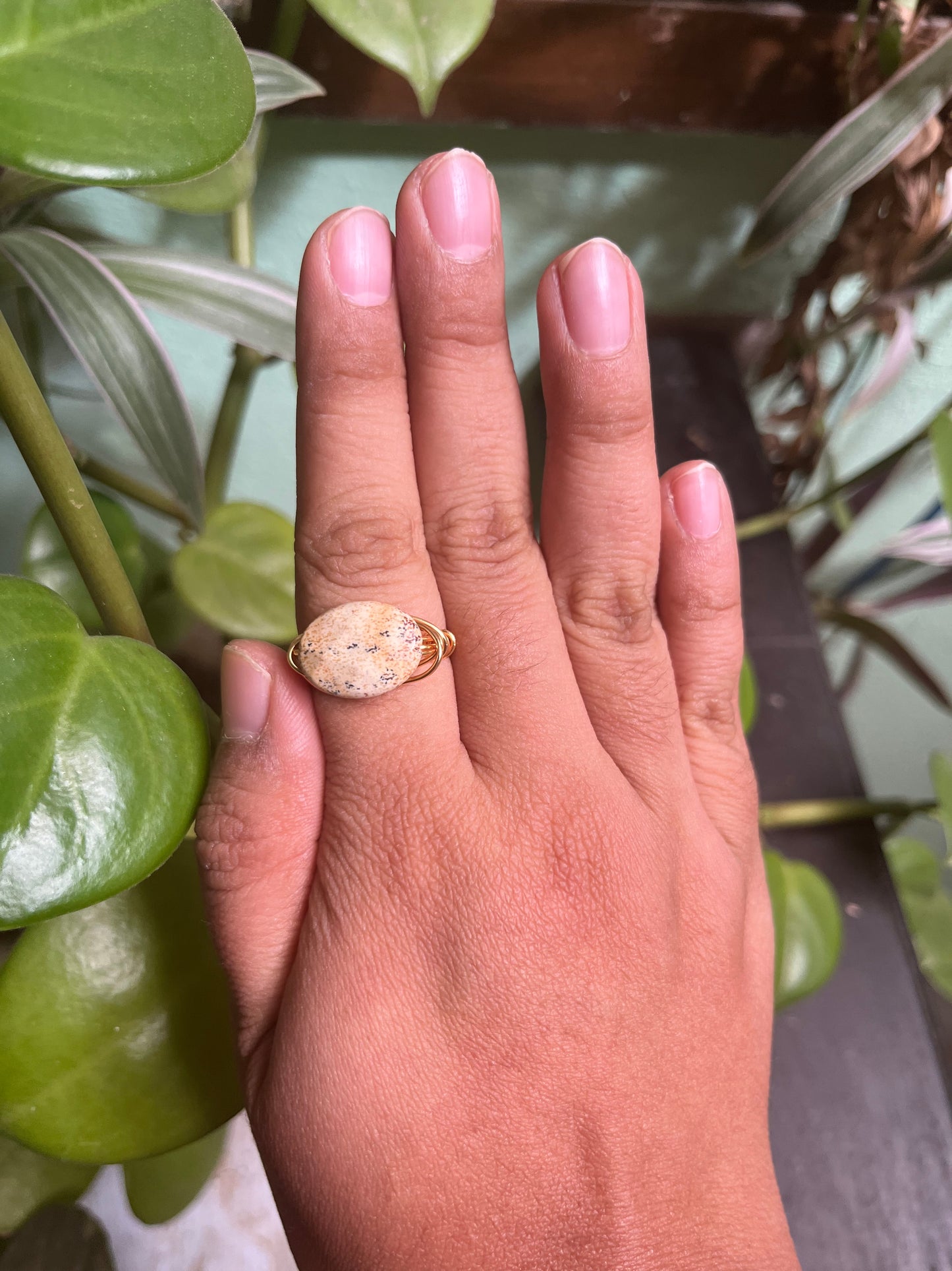 Anillo Asteria