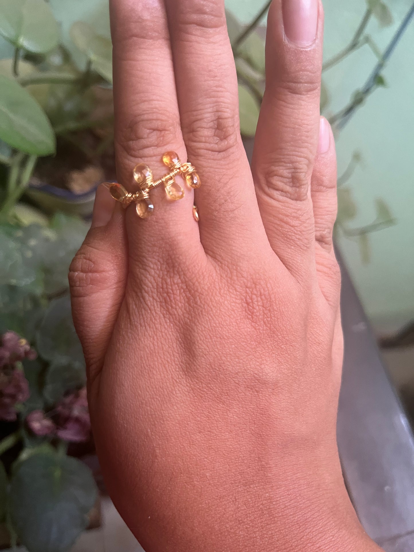 Anillo Ceres