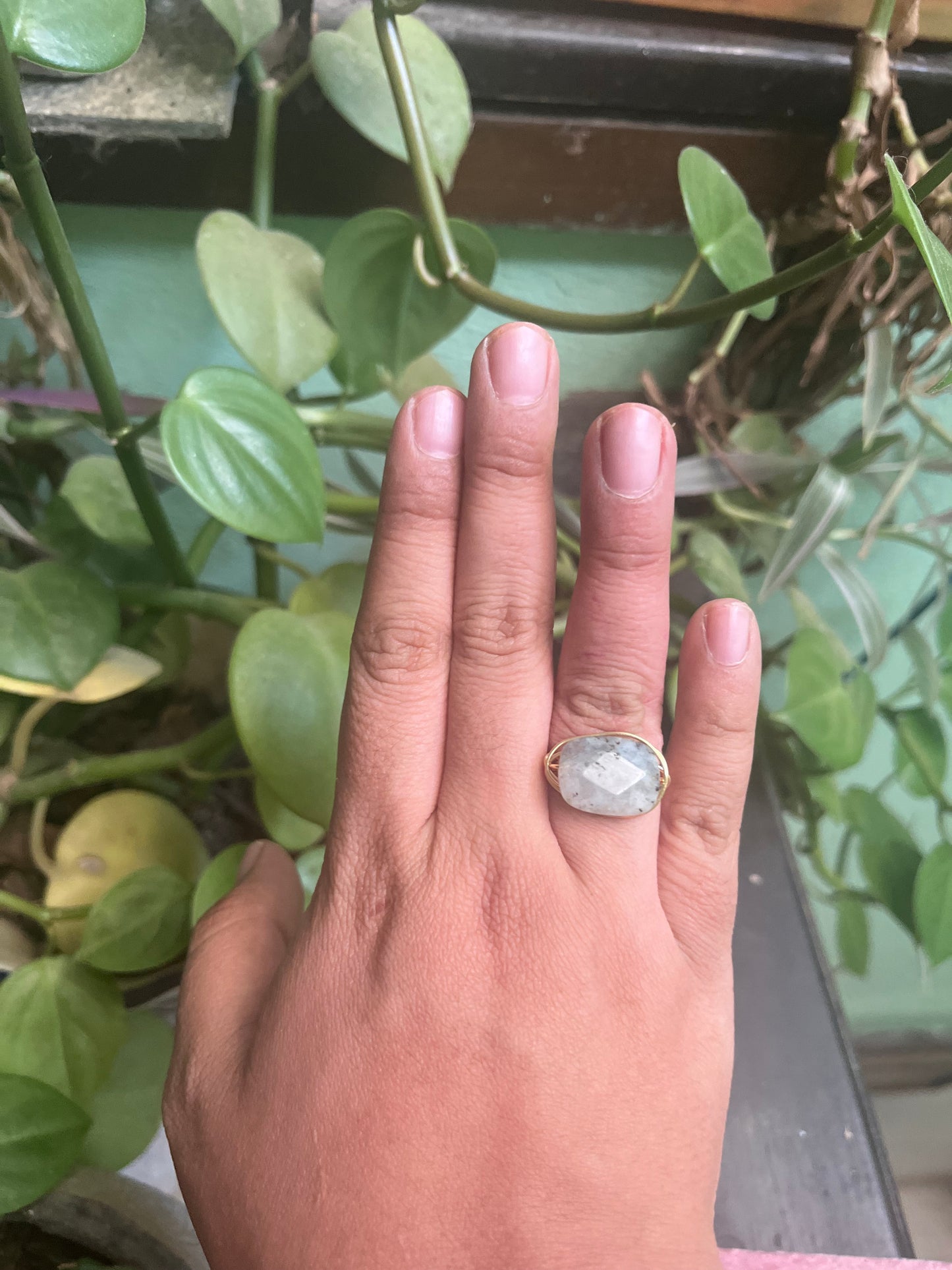 Anillo Asteria