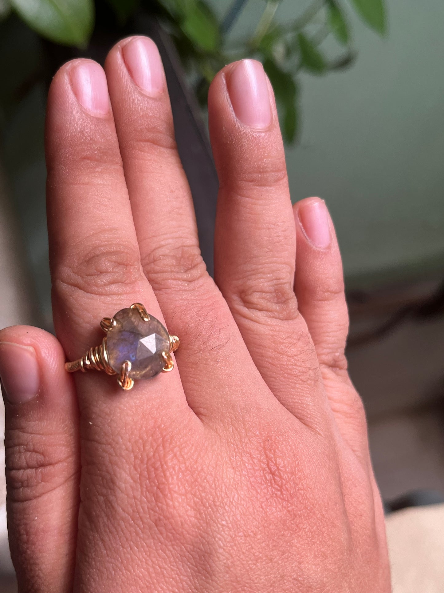 Anillos Enotropeas