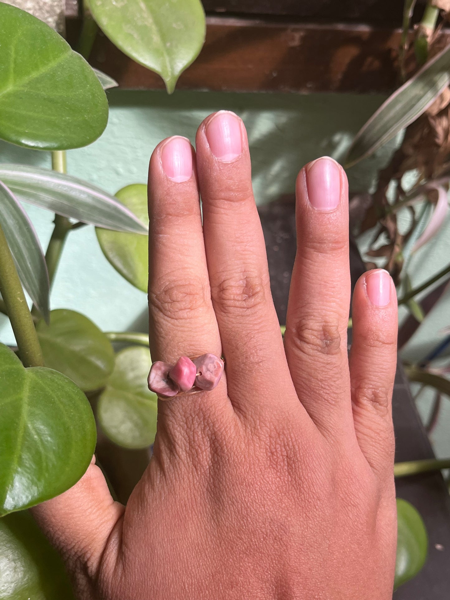 Anillos Nefeles