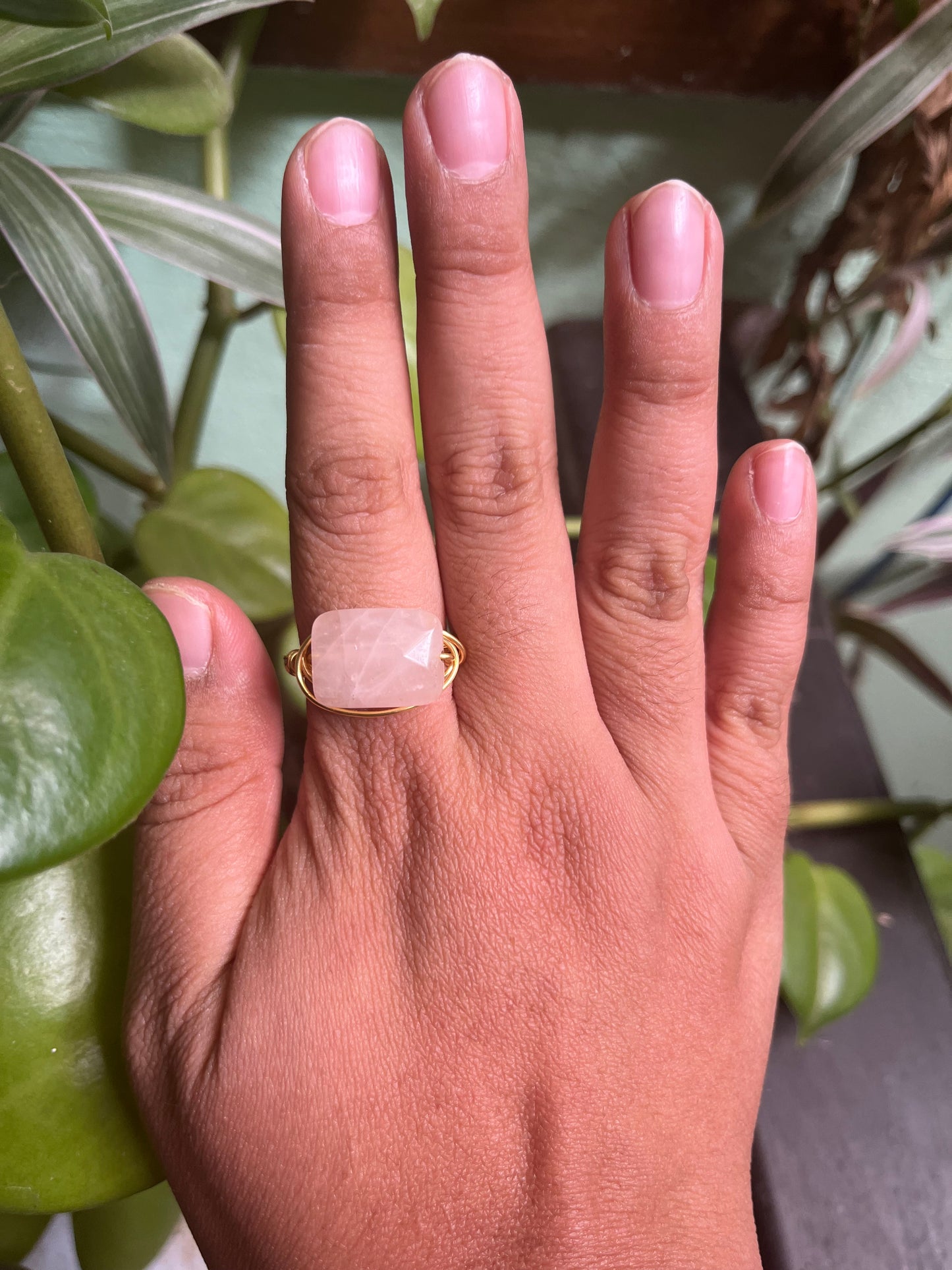 Anillo Asteria