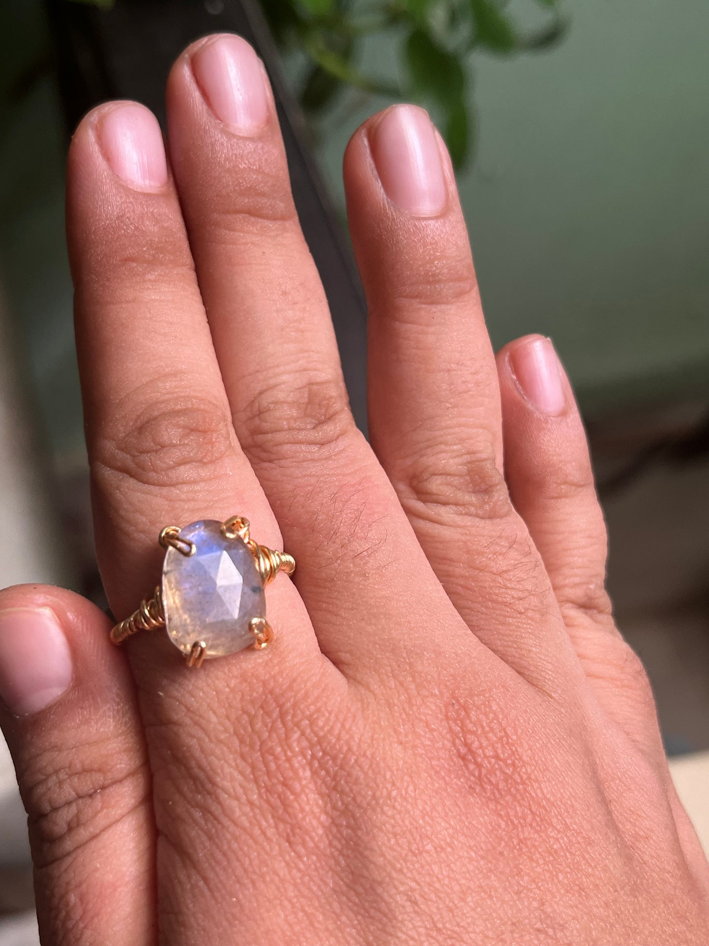 Anillos Enotropeas