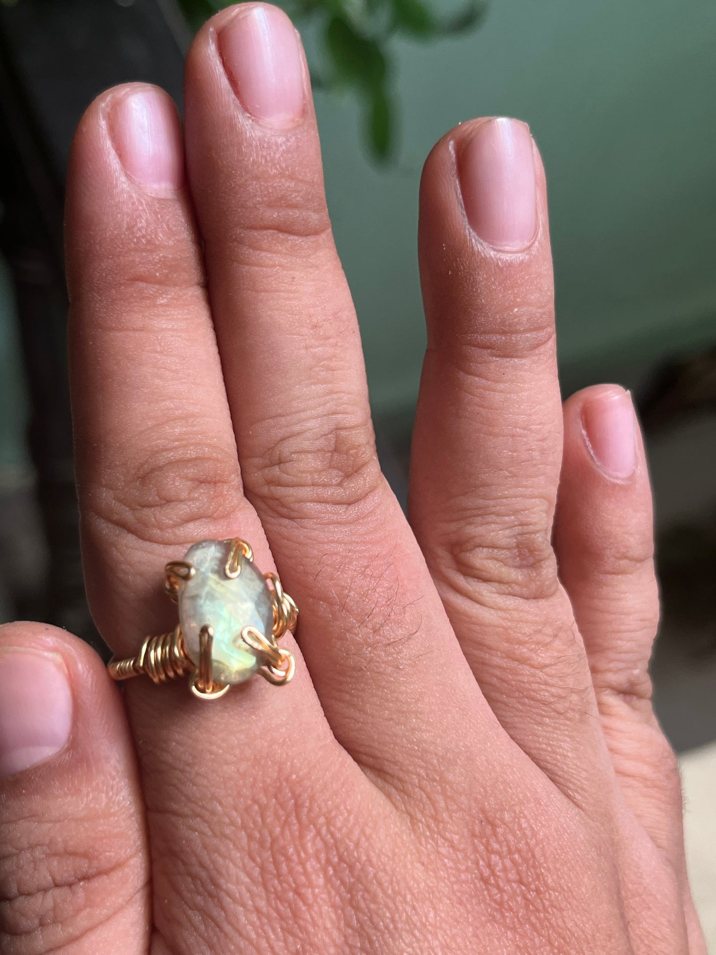 Anillos Enotropeas