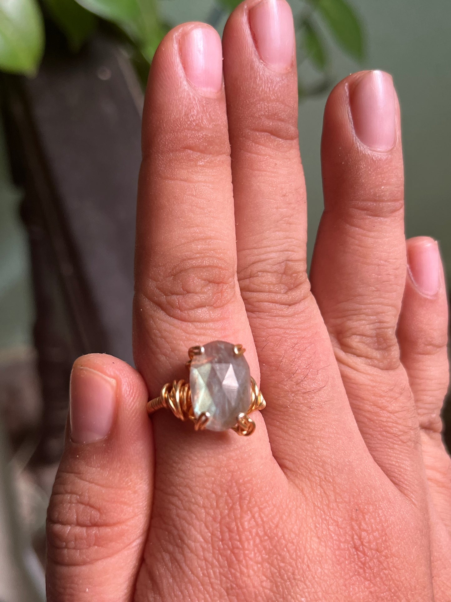Anillos Enotropeas
