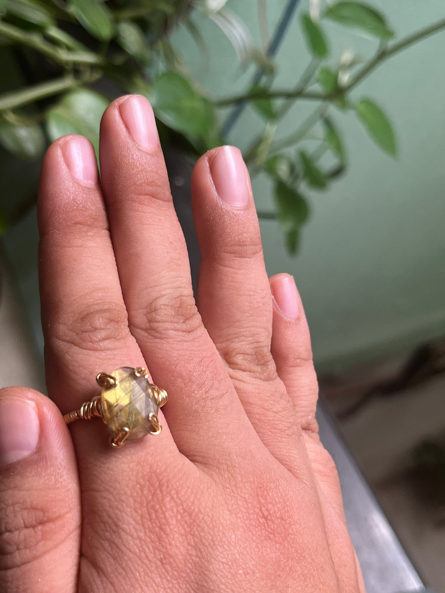 Anillos Enotropeas