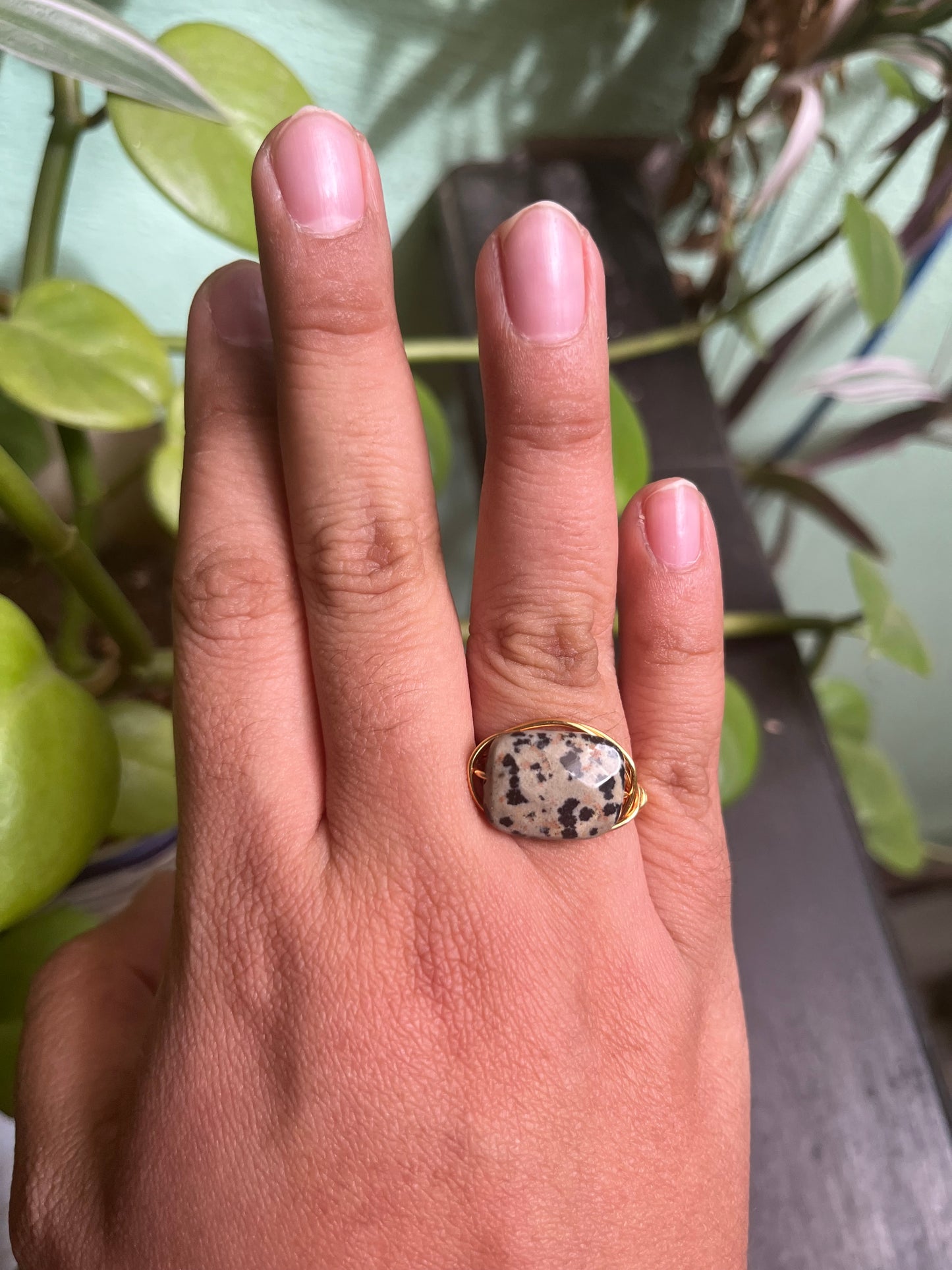 Anillo Asteria