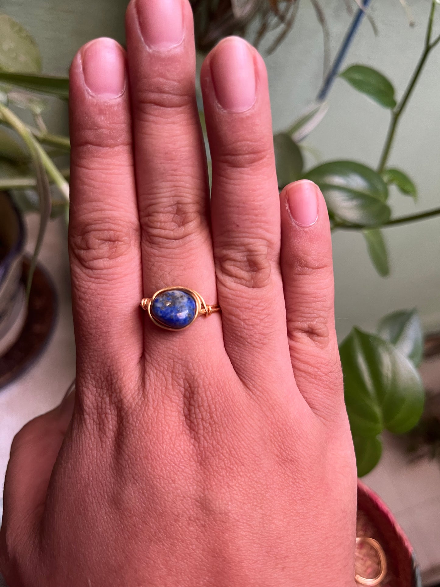 Anillos Alseides
