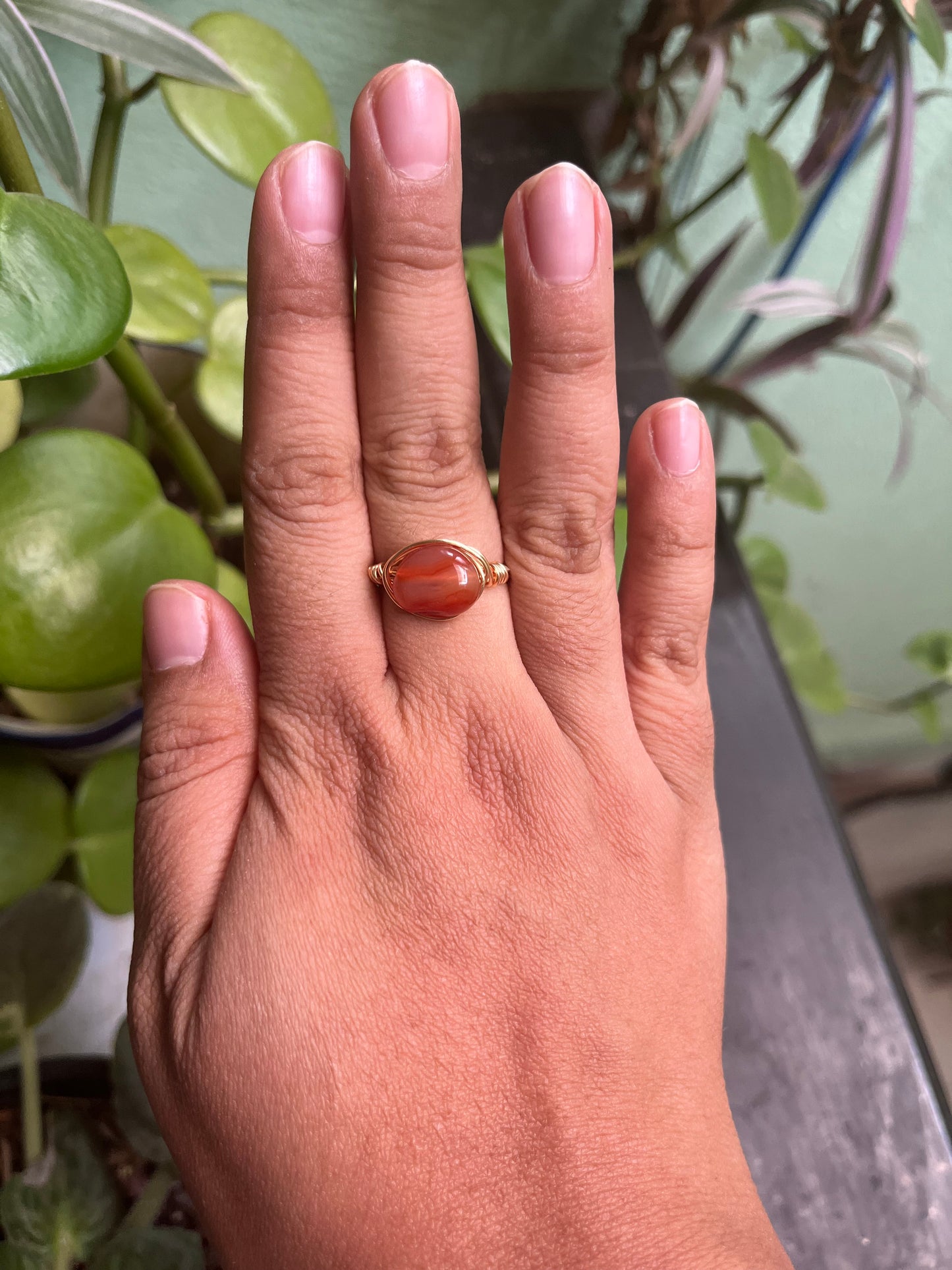 Anillos Alseides