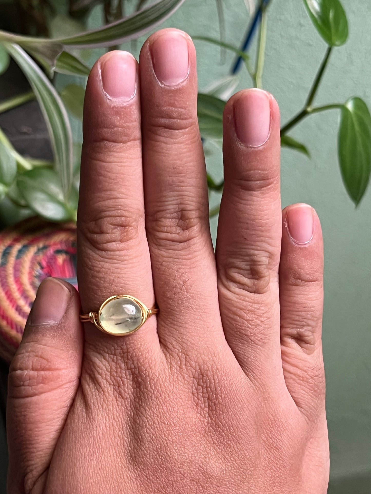Anillos Alseides