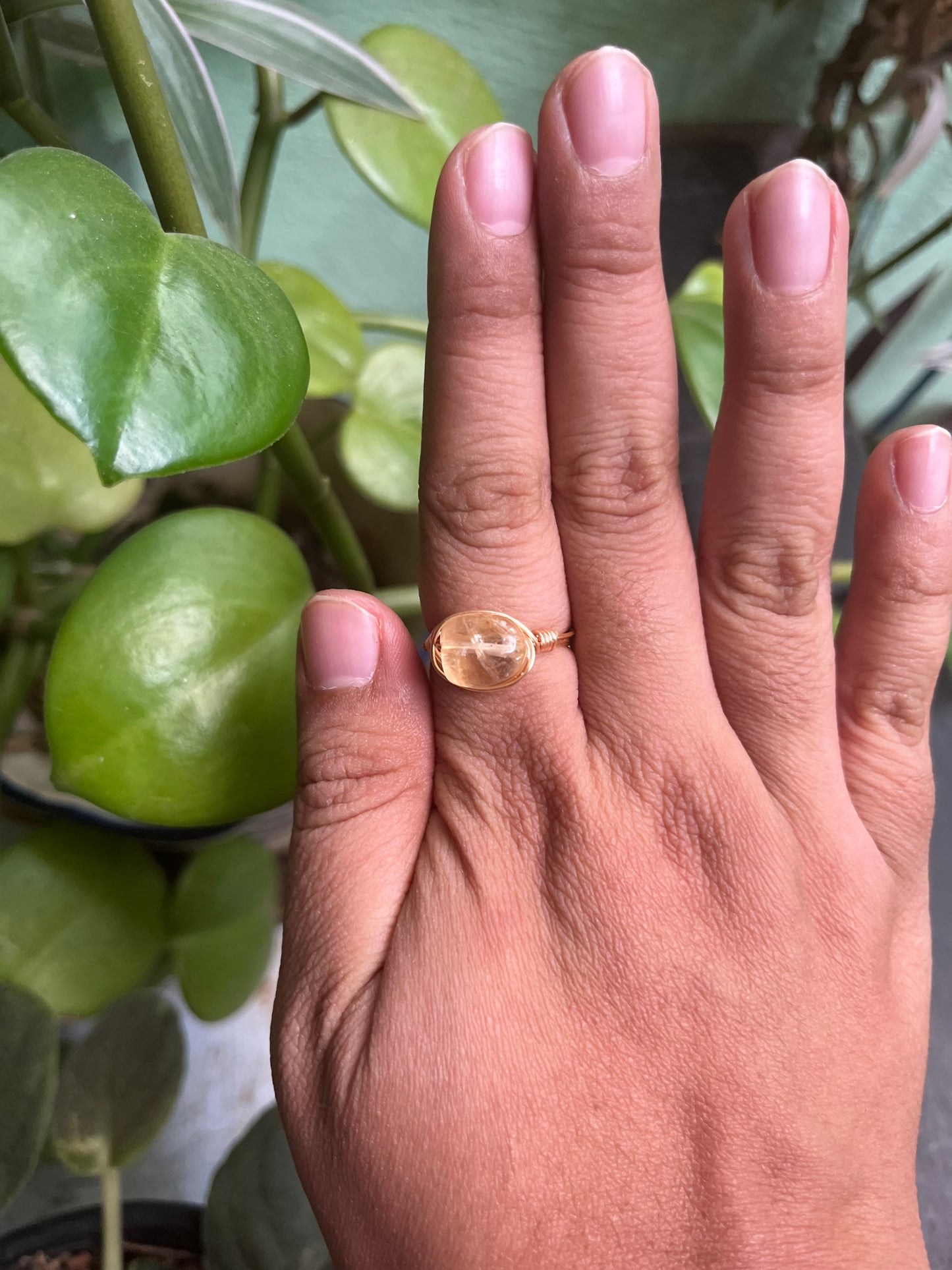 Anillos Alseides