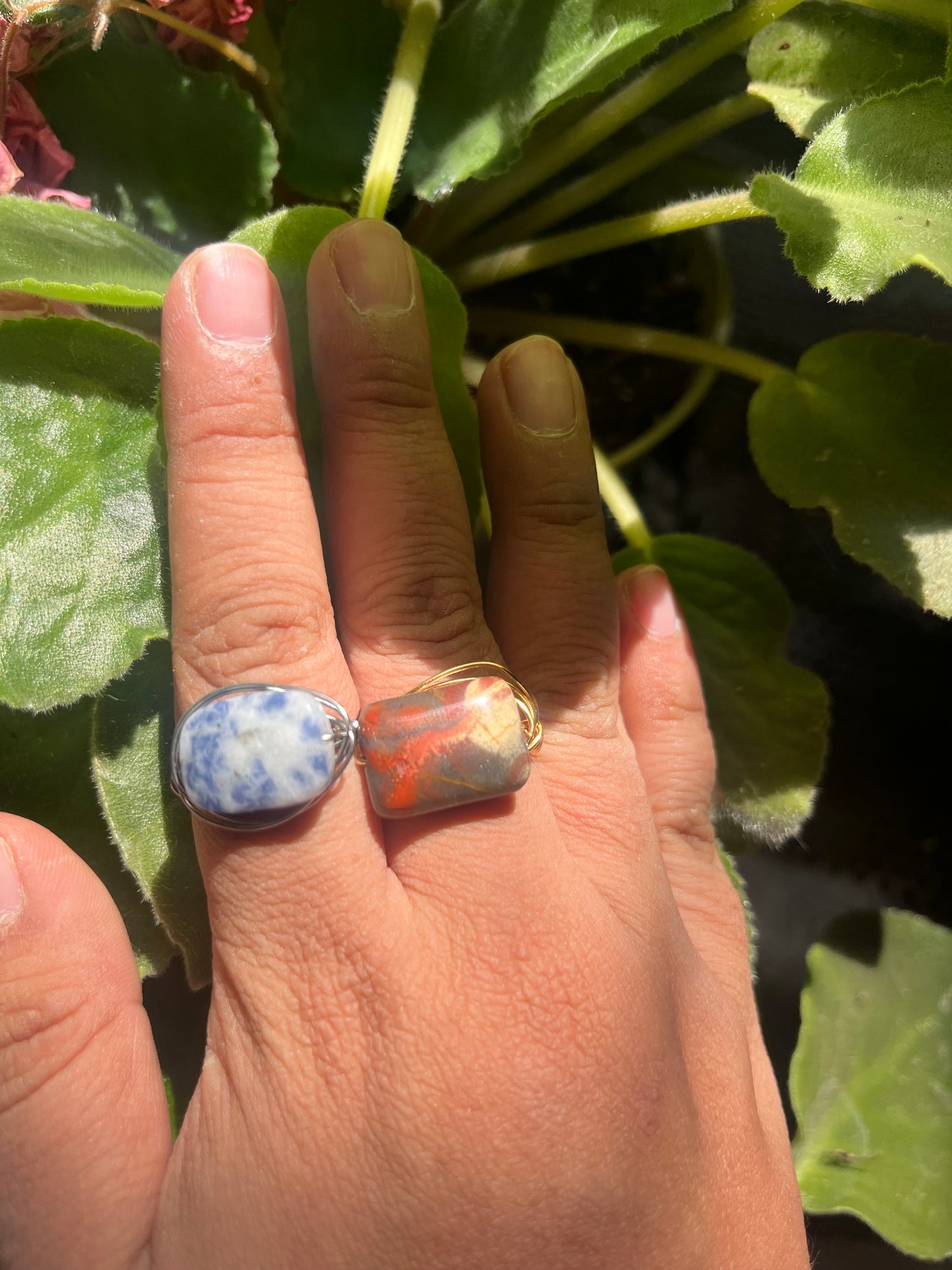 Anillo Asteria