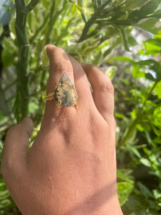 Anillo de Prenhita
