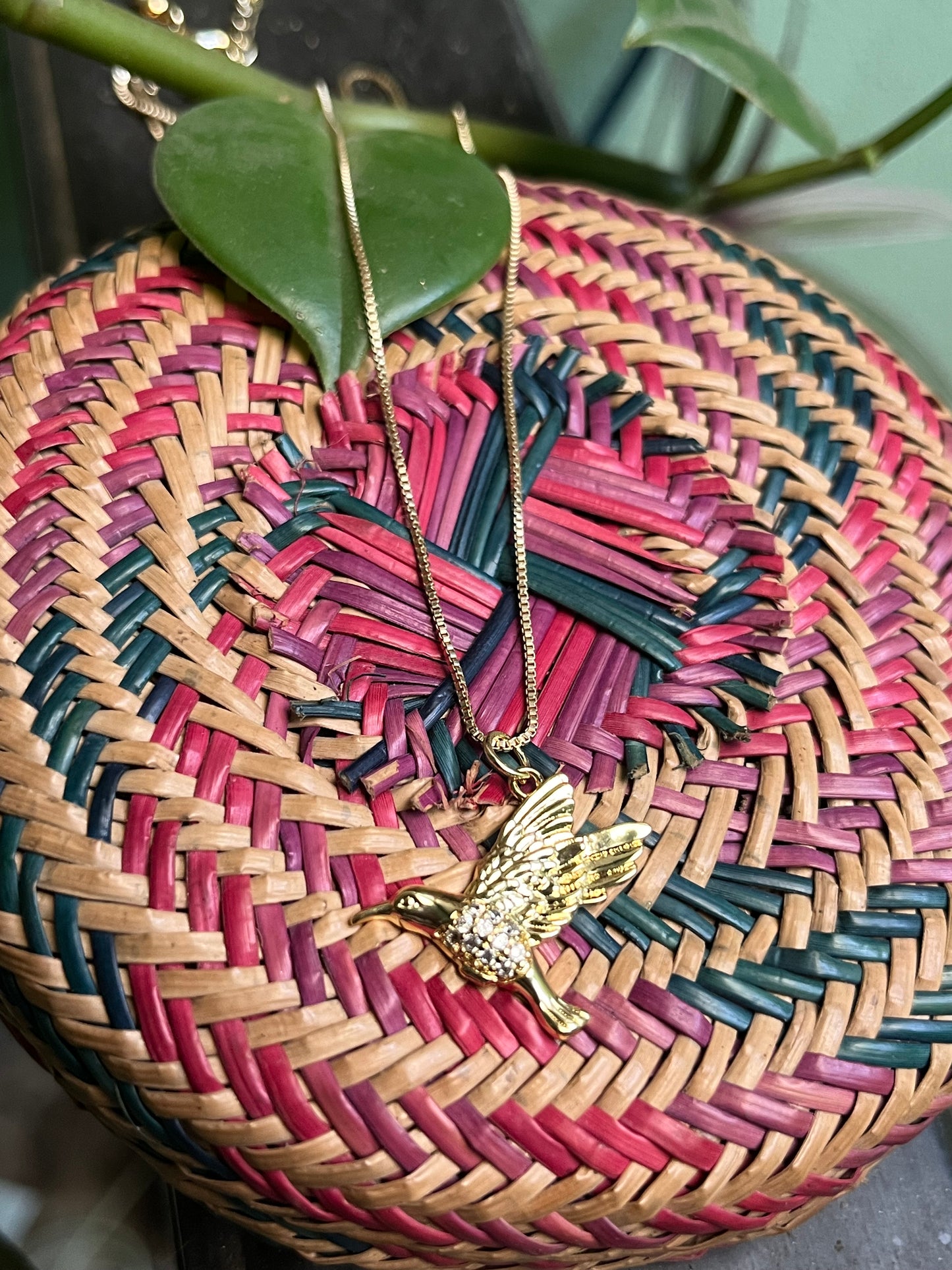 Collar Aurora