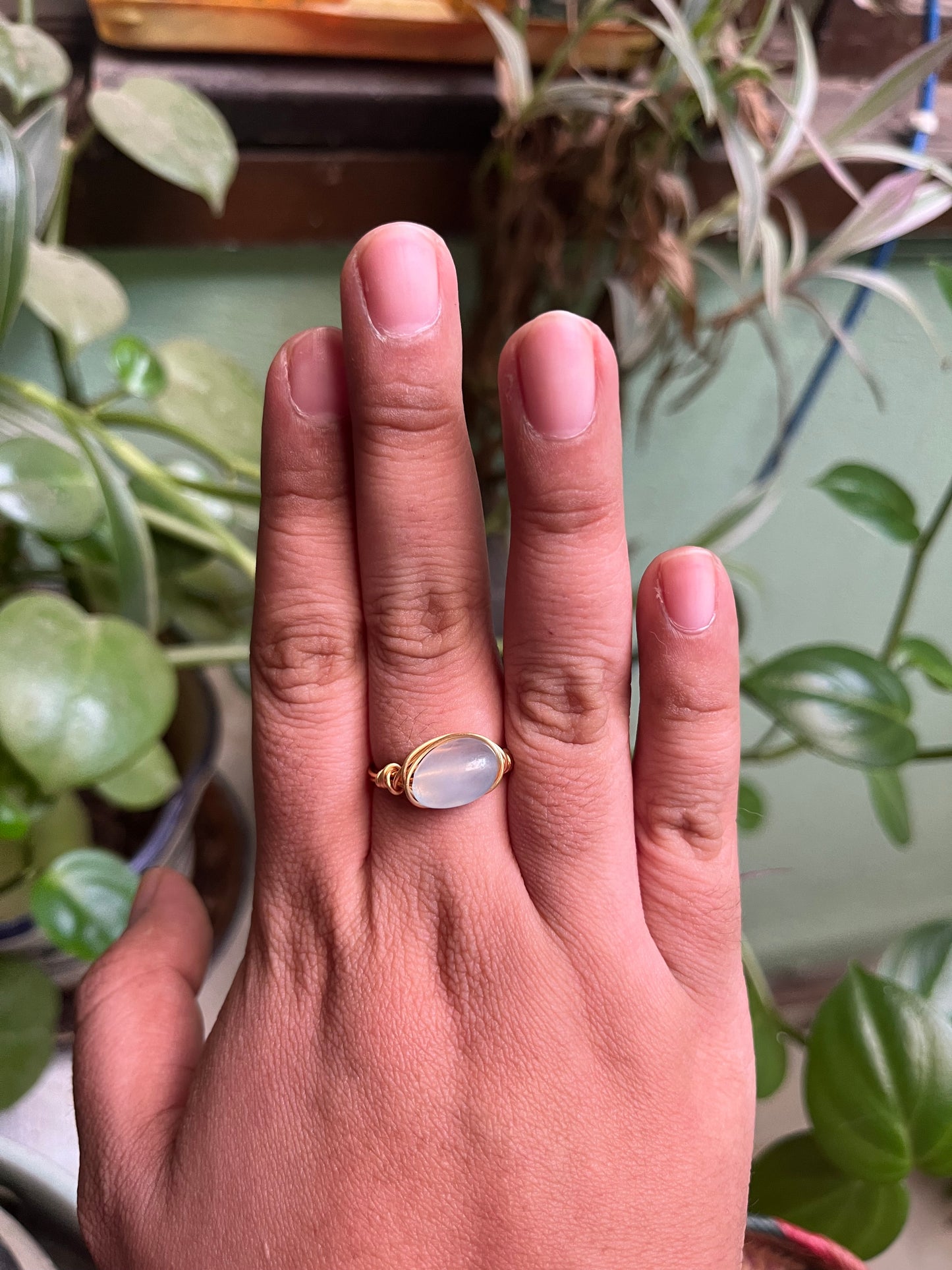 Anillos Alseides