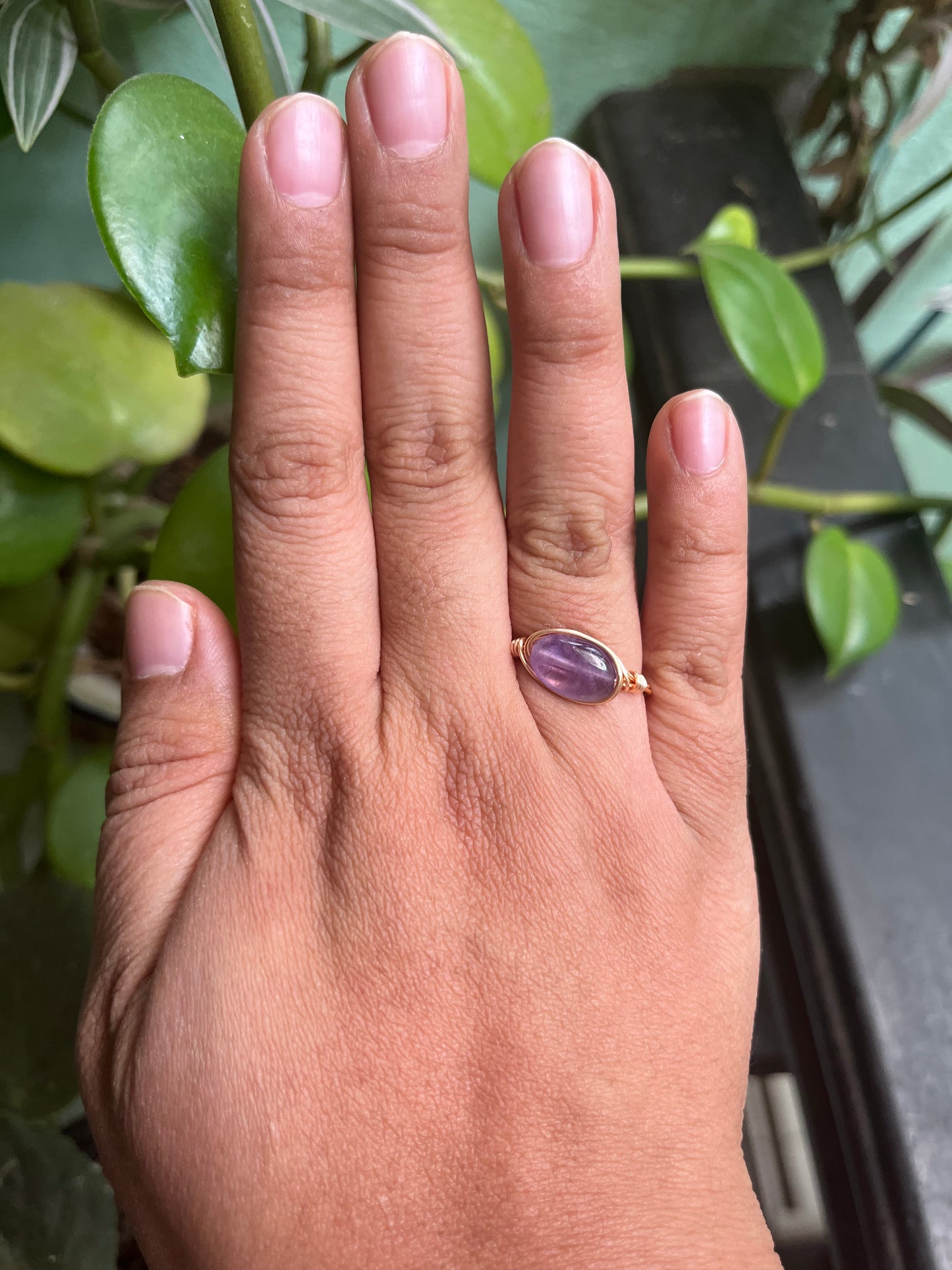 Anillos Alseides