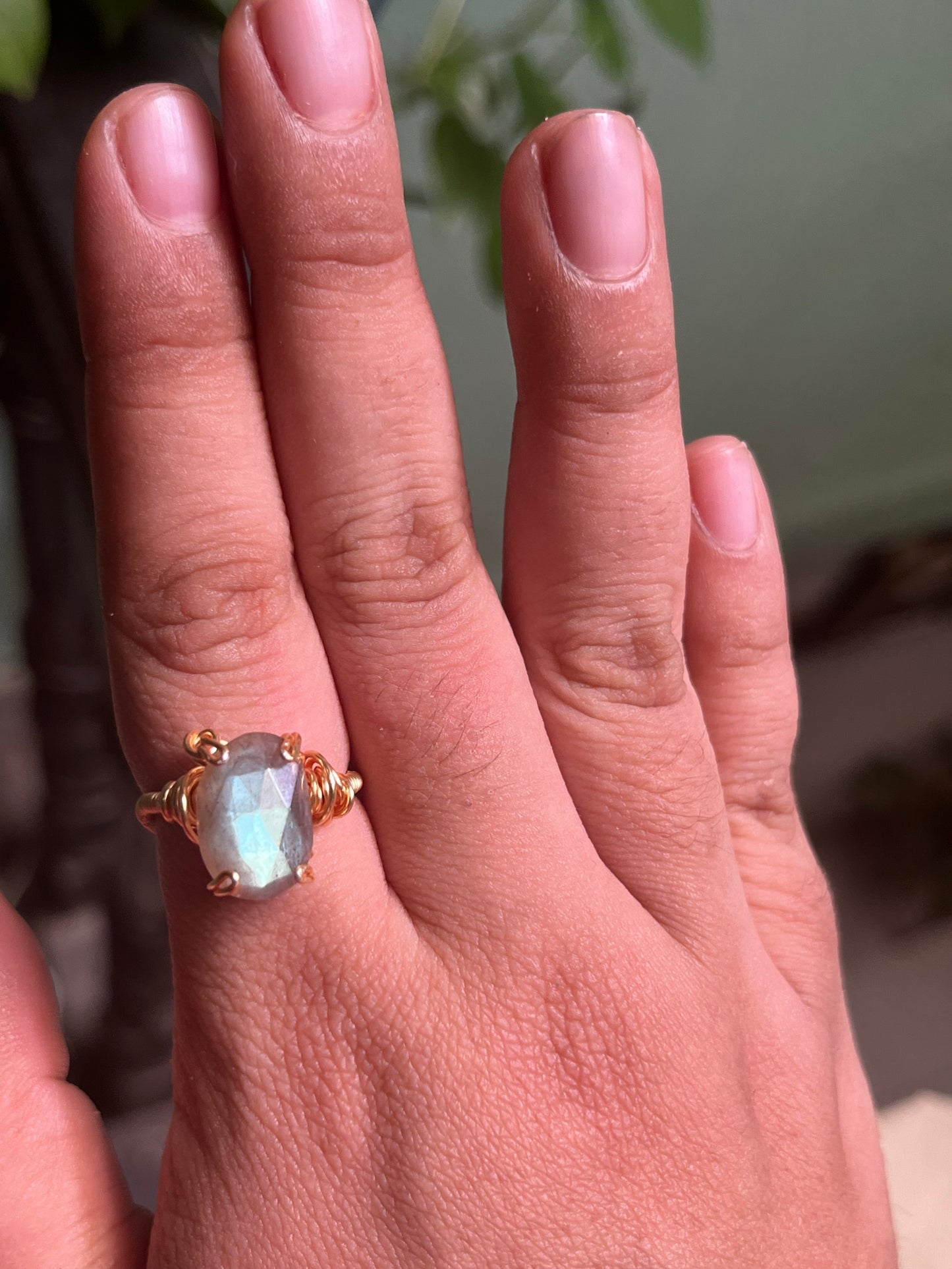 Anillos Enotropeas