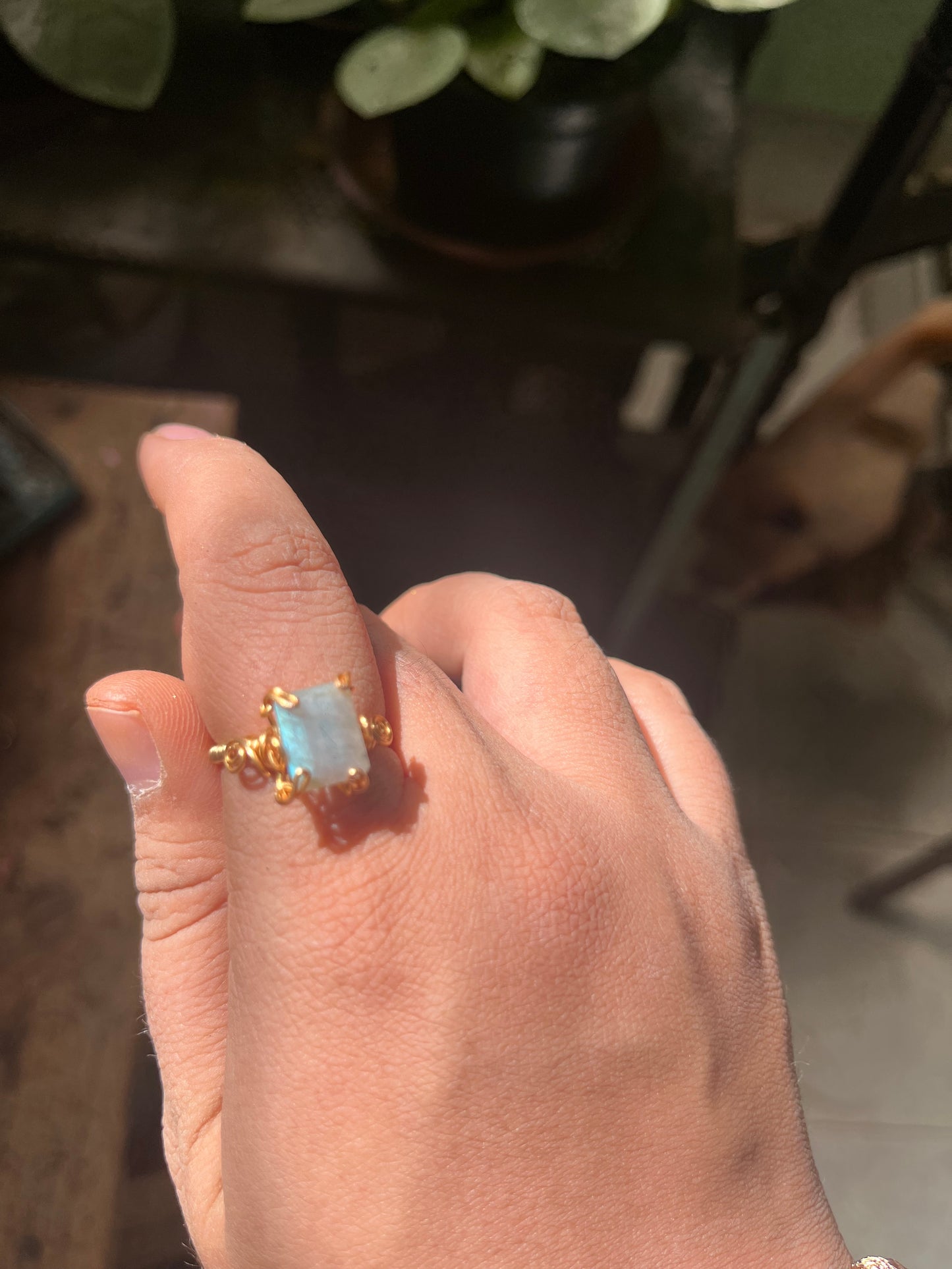 Anillos Labradorita chicos