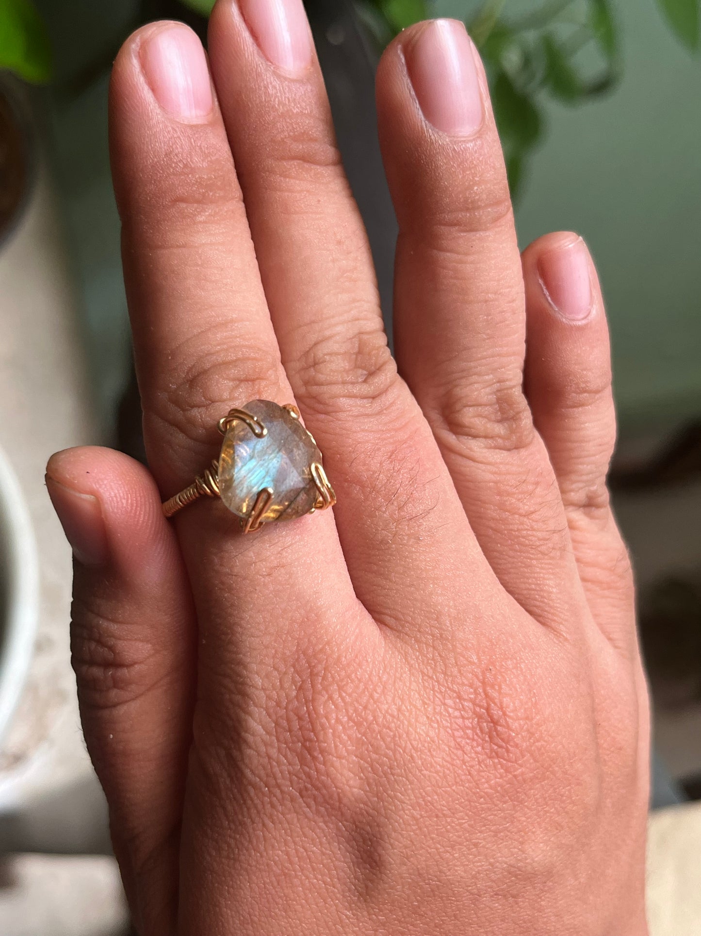 Anillos Enotropeas